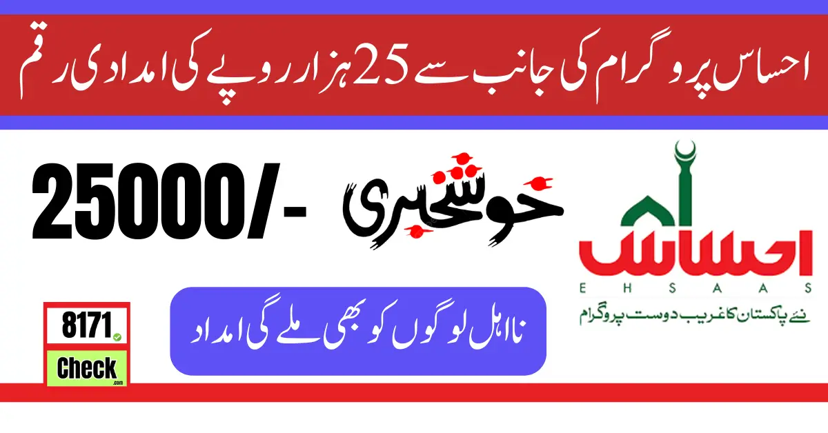 Ehsaas Program 25000 Online Registration 2024 CNIC Check