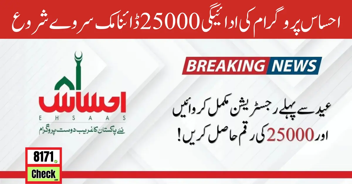 Ehsaas Program Payment 25000 Dynamic Survey Start 2024 Update