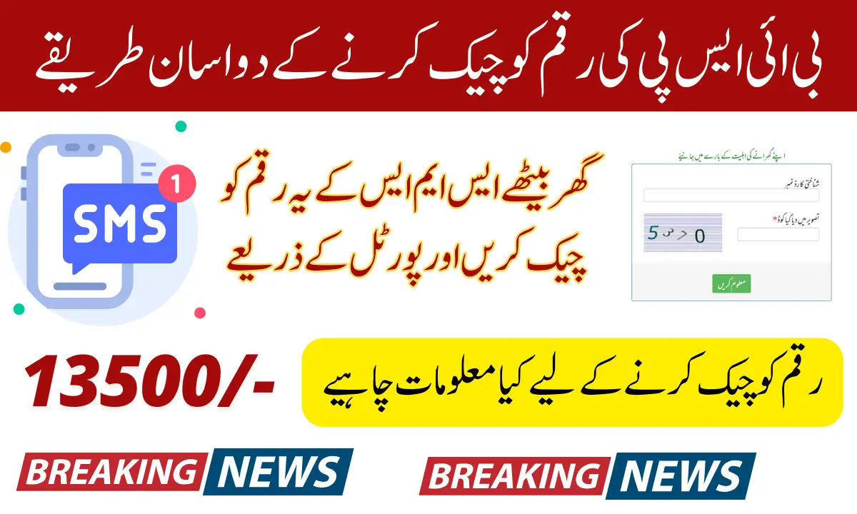 Benazir Kafalat 13500 Payments 2 Methods