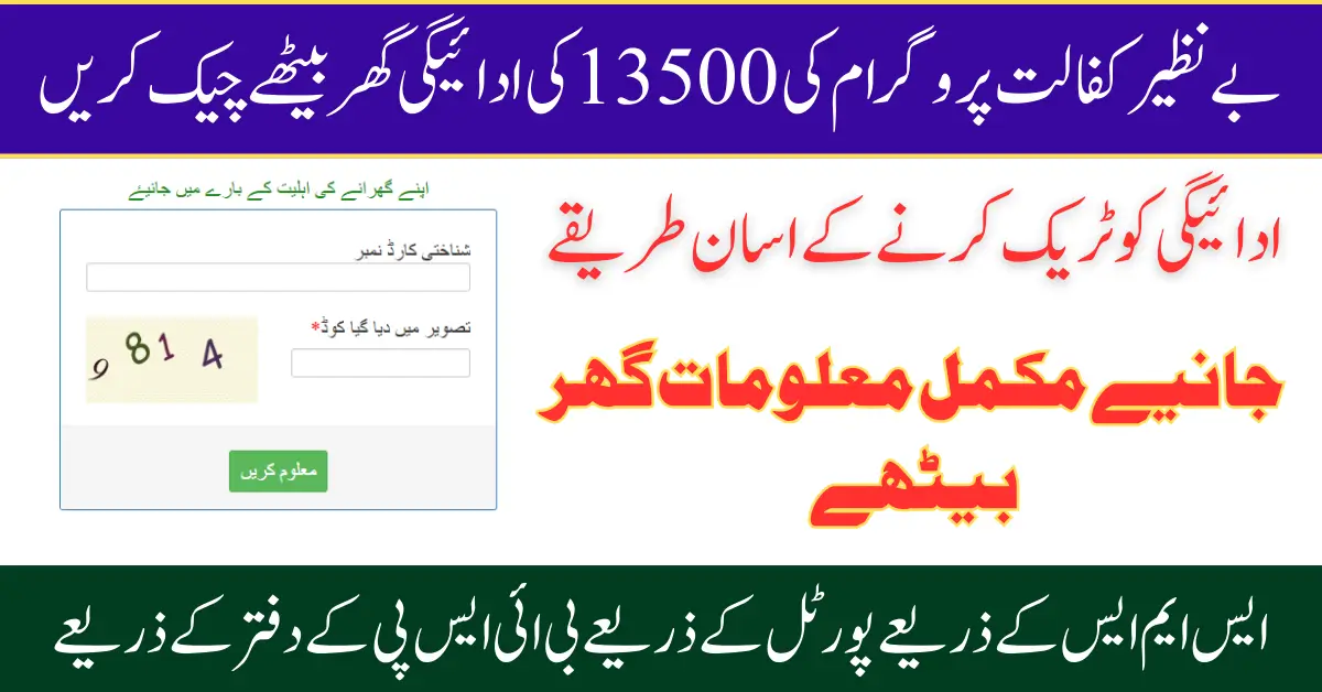 BISP Balance 13500 Check Through 8171 Web Portal With 2025 Update Method 2025